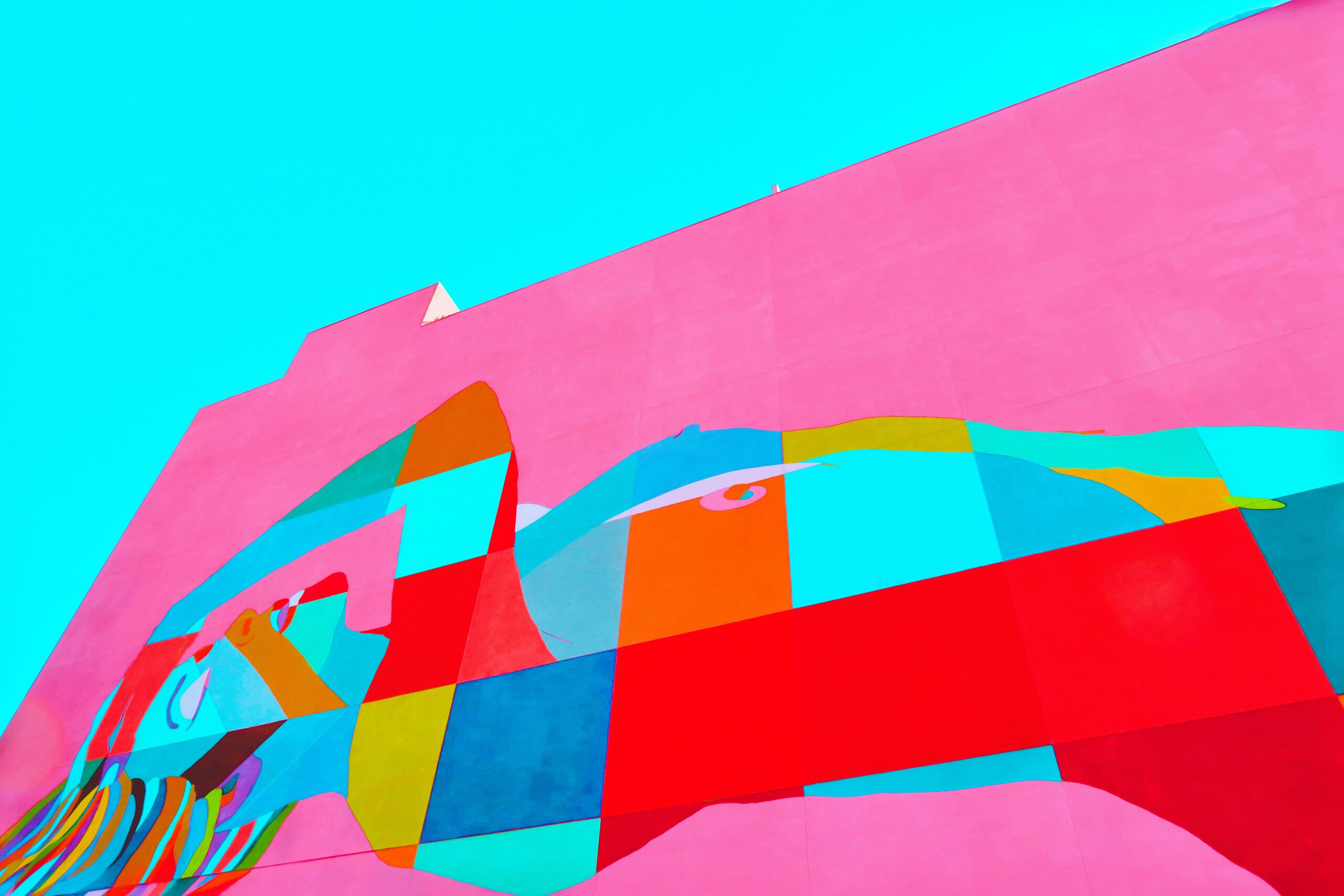 pink and multicolored wall painting
