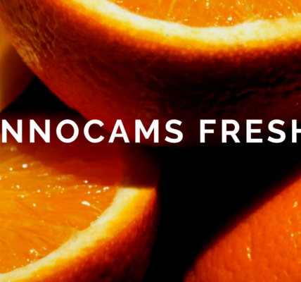 innocams fresh