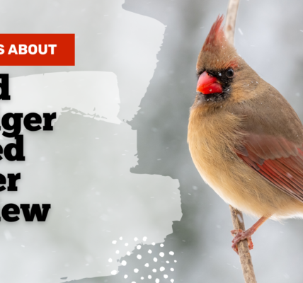 wild badger weed eater reviews